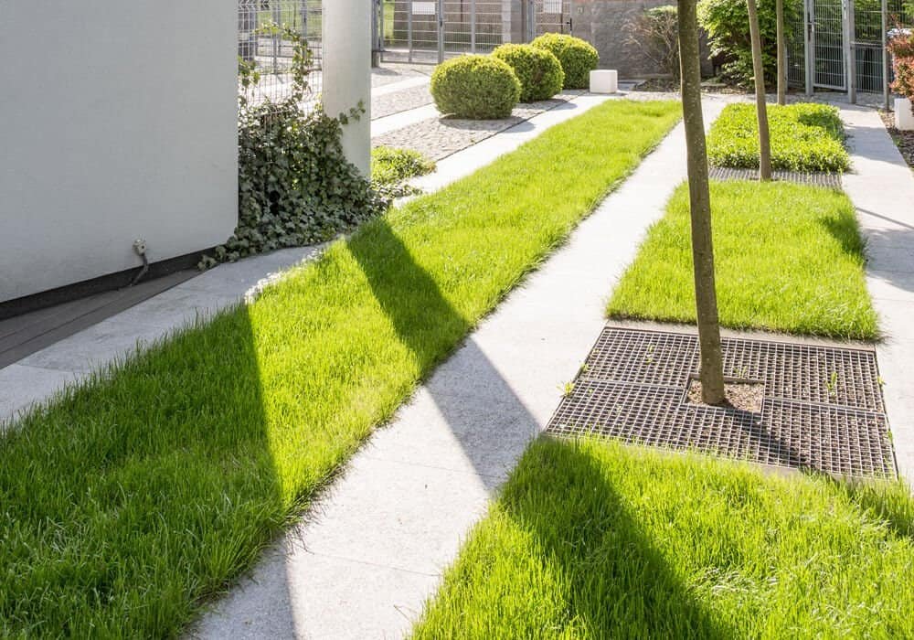 Lush green lawn with modern deck, fence, and sidewalk in landscaped yard.