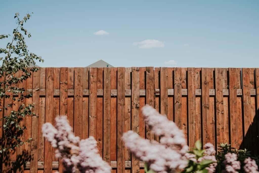 Weathered wooden fence with blue sky and flowering bushes in the foreground.